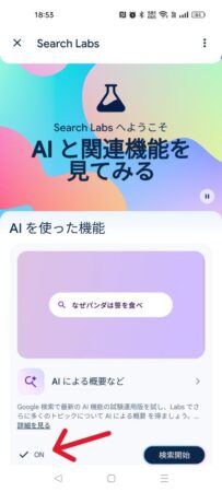 Search Labs の ON OFF 切り替えボタンの位置を矢印で示しています