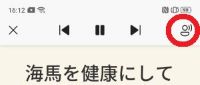 読み上げ中の画面上部の表示です　右端の「音声オプション」ボタンを赤丸で囲んでいます